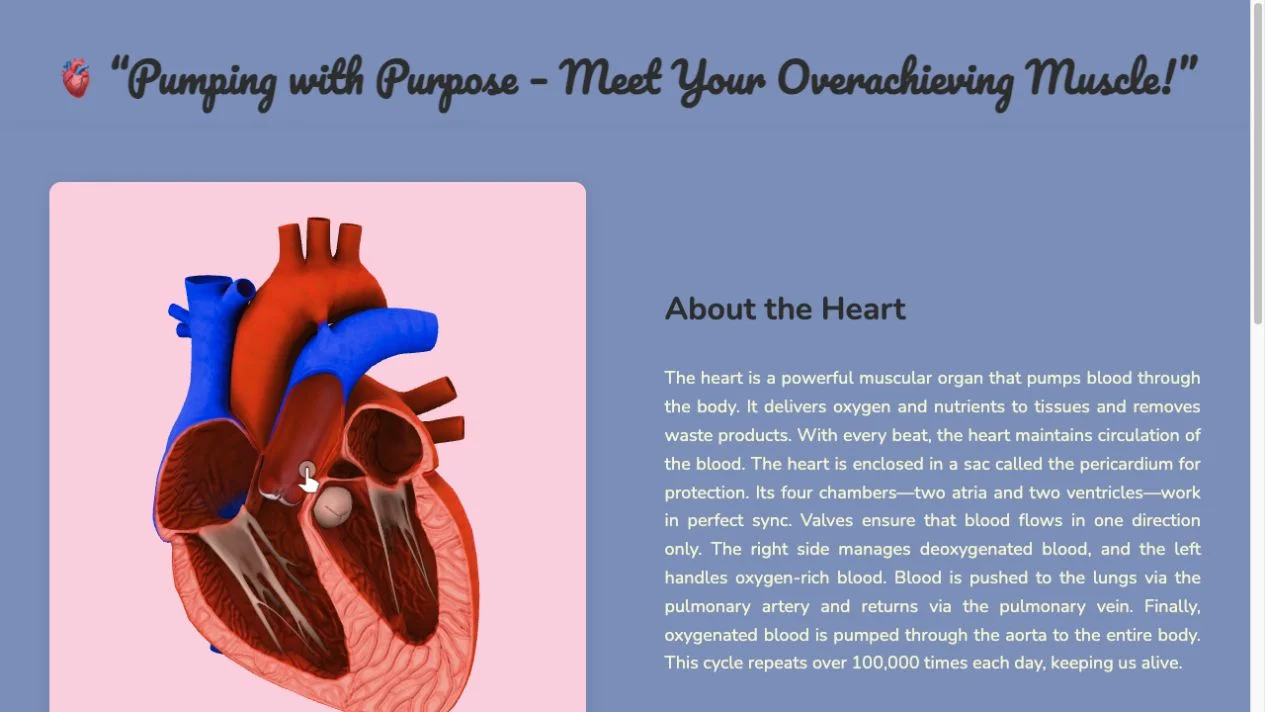 Rendered heart model beside About the Heart text at humanatlas.vercel.app/organs/heart.html, a separate alternative to the original repository demo